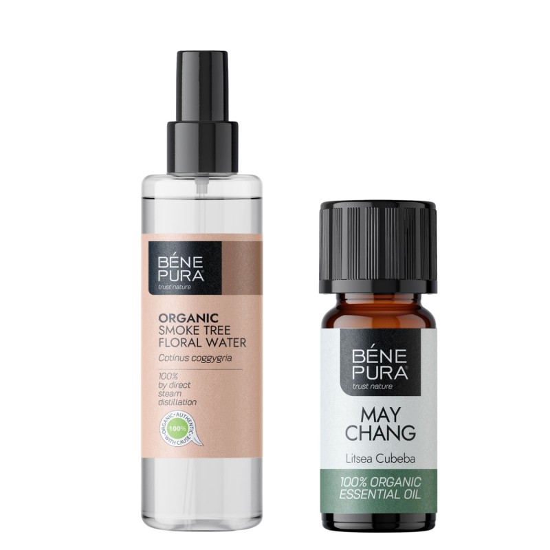 Verbesserung bei Akne und Pickeln mit Perückenstrauch Blütenwasser und Ätherisches Litsea Cubeba Öl - GMC