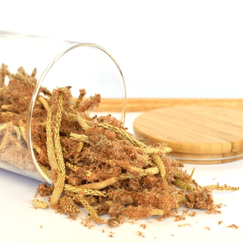 Kiefernspitzen - 50g