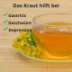 Johanniskraut - 3x60g