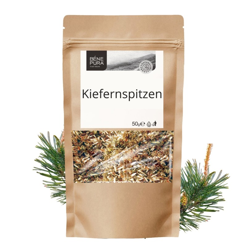 Kiefernspitzen - 3x50g - Nierenkräuter