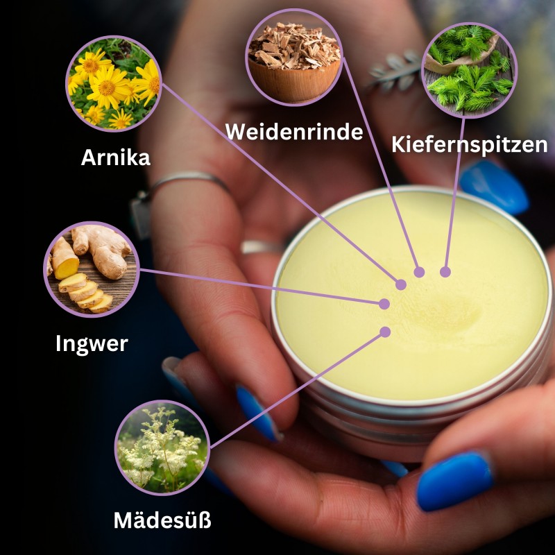 Beinwellsalbe mit Brennnessel und Arnika Salbe