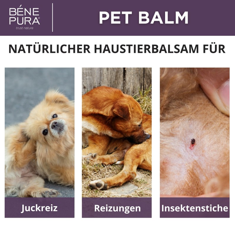 3x Anti-Irritation Hunde Pfoten balsam mit Wegerich - 40ml