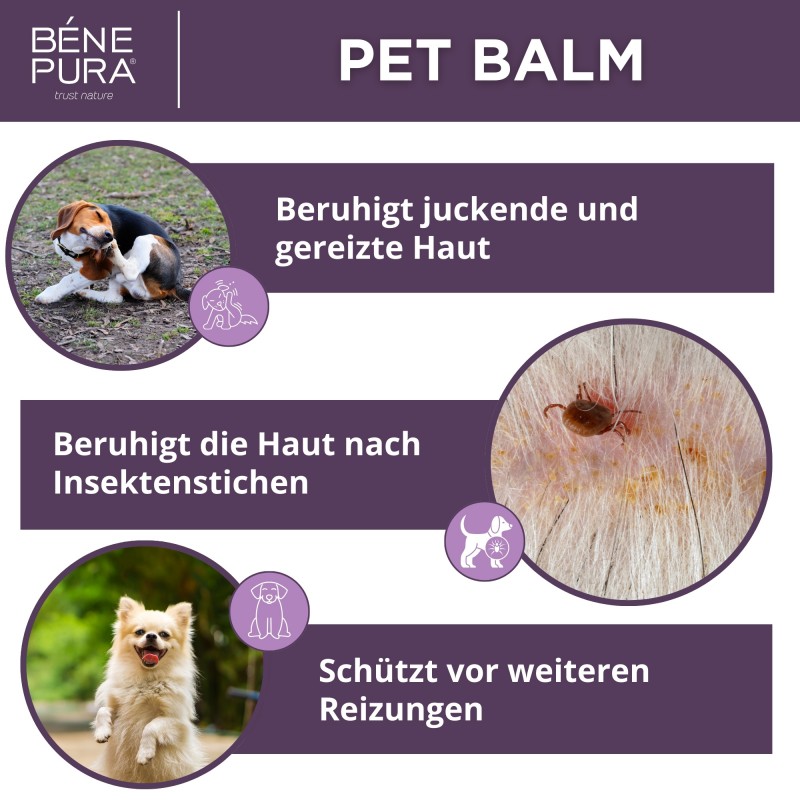 3x Anti-Irritation Hunde Pfoten balsam mit Wegerich - 40ml