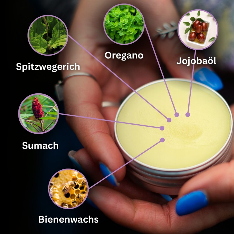 3x Anti-Irritation Hunde Pfoten balsam mit Wegerich - 40ml