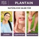 3x Wegerichsalbe gegen Juckreiz und Entzündung - 40ml