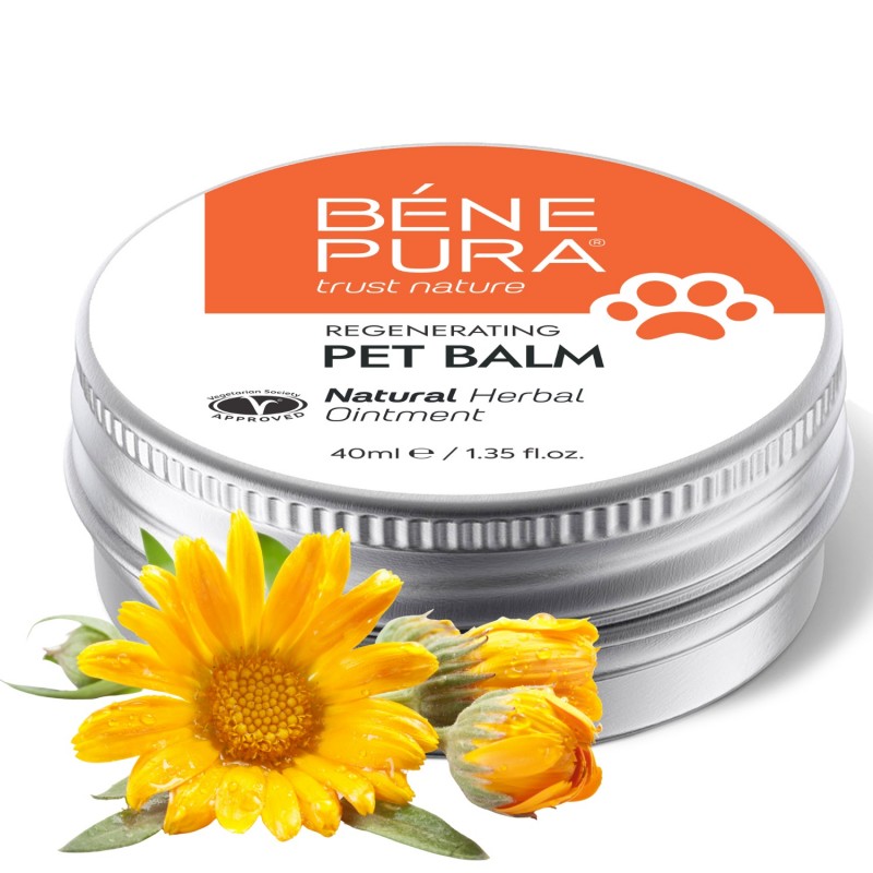 Regenerierende Hunde Pfoten balsam mit Ringelblumen - 40ml - Kräutersalben