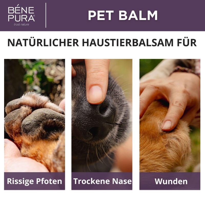 Regenerierende Hunde Pfoten balsam mit Ringelblumen - 40ml