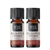 2x Bio Ätherisches Eukalyptus Citriodora Öl - 10ml