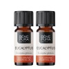 2x Bio Ätherisches Eukalyptus Globulus Öl - 10ml
