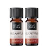 2x Bio Ätherisches Eukalyptus Radiata Öl - 10ml