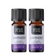 2x Bio Ätherisches Lavendelöl - 10ml - Benepura.de 2x Bio Ätherisches Lavendelöl - 10ml