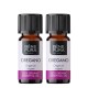 2x Bio Ätherisches Oregano Öl - 10ml - Benepura.de 2x Bio Ätherisches Oregano Öl - 10ml