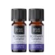 2x Bio Ätherisches Rosmarin Campher Öl - 5ml - Benepura.de 2x Bio Ätherisches Rosmarin Campher Öl - 5ml