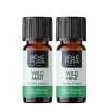 2x Bio Ätherisches Wildes Minzöl - 10ml