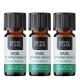 3x Bio Ätherisches Basilikumöl - 5ml - Benepura.de 3x Bio Ätherisches Basilikumöl - 5ml