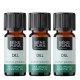 3x Bio Ätherisches Dill Öl - 10ml - Benepura.de 3x Bio Ätherisches Dill Öl - 10ml