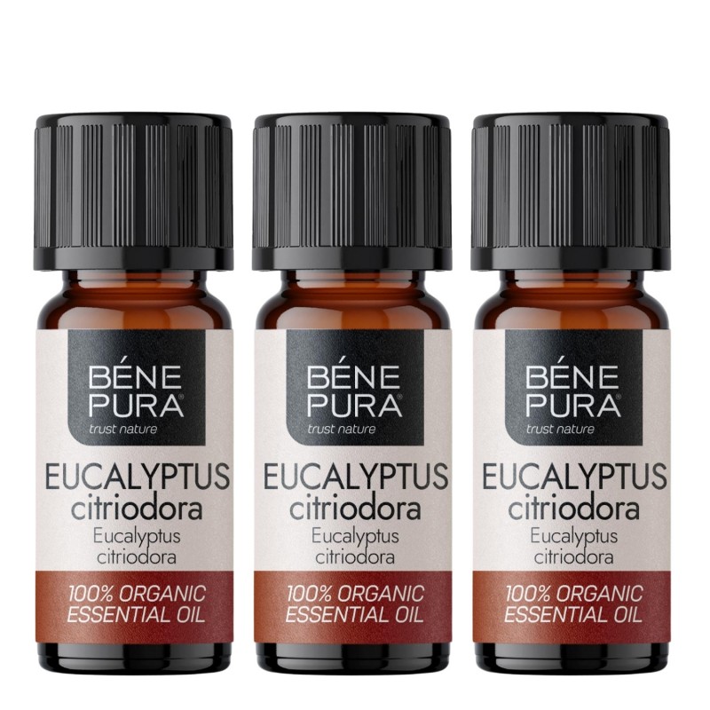 3x Bio Ätherisches Eukalyptus Citriodora Öl - 10ml - Benepura.de 3x Bio Ätherisches Eukalyptus Citriodora Öl - 10ml