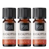 3x Bio Ätherisches Eukalyptus Globulus Öl - 10ml
