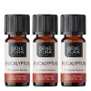 3x Bio Ätherisches Eukalyptus Radiata Öl - 10ml