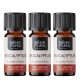 3x Bio Ätherisches Eukalyptus Radiata Öl - 5ml - Benepura.de 3x Bio Ätherisches Eukalyptus Radiata Öl - 5ml