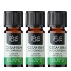 3x Bio Ätherisches Geranienöl - 10ml