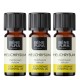 3x Bio Ätherisches Helichrysum Öl - 5ml