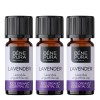 3x Bio Ätherisches Lavendelöl - 10ml