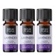 3x Bio Ätherisches Lavendelöl - 10ml - Benepura.de 3x Bio Ätherisches Lavendelöl - 10ml