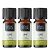 3x Bio Ätherisches Limettenöl - 10ml