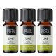 3x Bio Ätherisches Limettenöl - 10ml - Benepura.de 3x Bio Ätherisches Limettenöl - 10ml