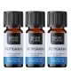 3x Bio Ätherisches Petitgrainöl - 5ml - Benepura.de 3x Bio Ätherisches Petitgrainöl - 5ml