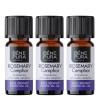 3x Bio Ätherisches Rosmarin Campher Öl - 10ml