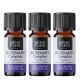 3x Bio Ätherisches Rosmarin Campher Öl - 5ml - Benepura.de 3x Bio Ätherisches Rosmarin Campher Öl - 5ml