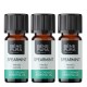 3x Bio Ätherisches Spearmintöl - 5ml