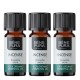 3x Bio Ätherisches Weihrauchöl - 10ml