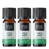 3x Bio Ätherisches Wildes Minzöl - 10ml