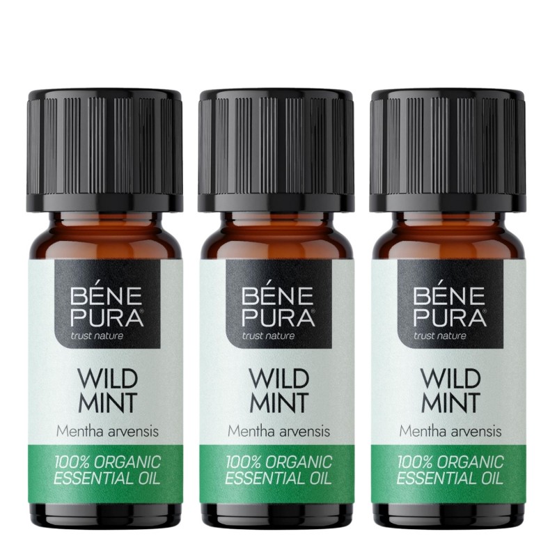 3x Bio Ätherisches Wildes Minzöl - 10ml - Benepura.de 3x Bio Ätherisches Wildes Minzöl - 10ml