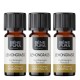 3x Bio Ätherisches Zitronengrasöl - 10ml - Benepura.de 3x Bio Ätherisches Zitronengrasöl - 10ml