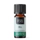 Bio Ätherisches Dill Öl - 10ml - Benepura.de Bio Ätherisches Dill Öl - 10ml