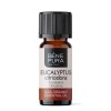 Bio Ätherisches Eukalyptus Citriodora Öl - 10ml