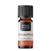Bio Ätherisches Eukalyptus Globulus Öl - 10ml