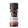 Bio Ätherisches Eukalyptus Radiata Öl - 10ml