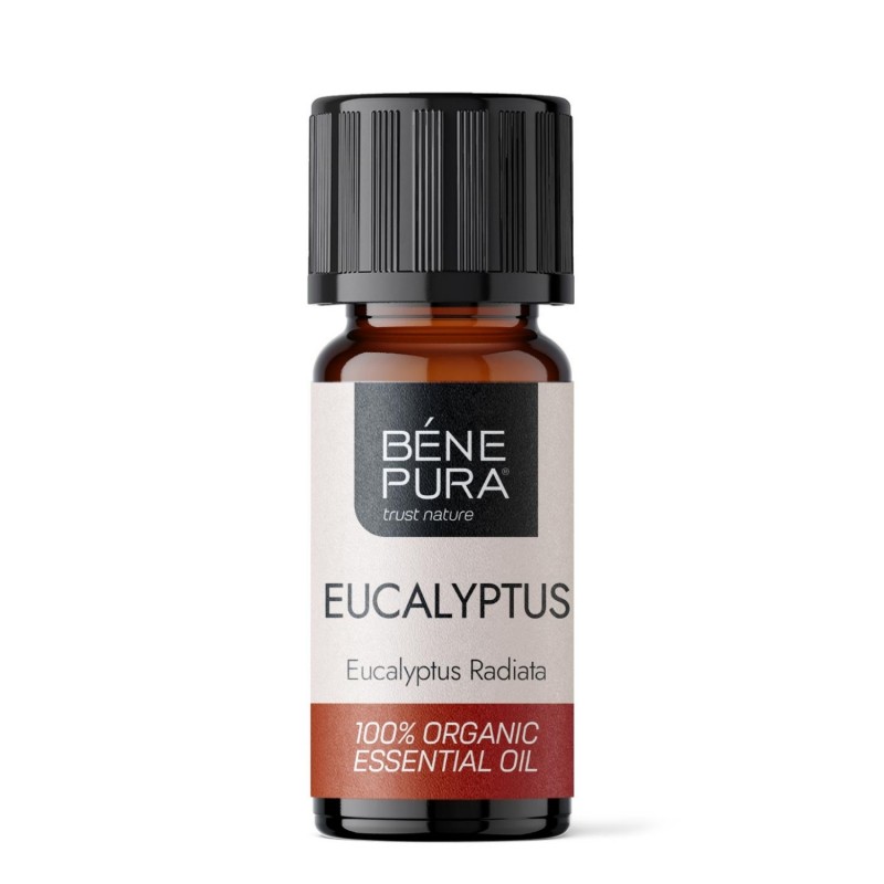 Bio Ätherisches Eukalyptus Radiata Öl - 10ml - Benepura.de Bio Ätherisches Eukalyptus Radiata Öl - 10ml