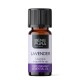 Bio Ätherisches Lavendelöl - 10ml - Benepura.de Bio Ätherisches Lavendelöl - 10ml