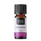 Bio Ätherisches Oregano Öl - 10ml - Benepura.de Bio Ätherisches Oregano Öl - 10ml