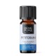 Bio Ätherisches Petitgrainöl - 5ml - Benepura.de Bio Ätherisches Petitgrainöl - 5ml