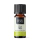 Bio Ätherisches Teebaumöl - 10ml - Benepura.de Bio Ätherisches Teebaumöl - 10ml