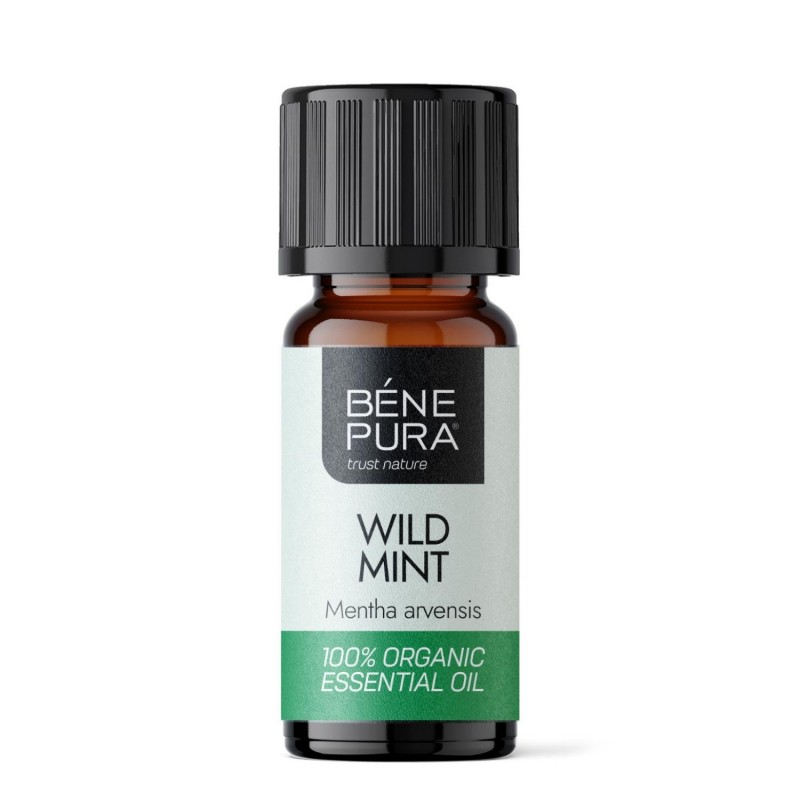 Bio Ätherisches Wildes Minzöl - 10ml - Benepura.de Bio Ätherisches Wildes Minzöl - 10ml