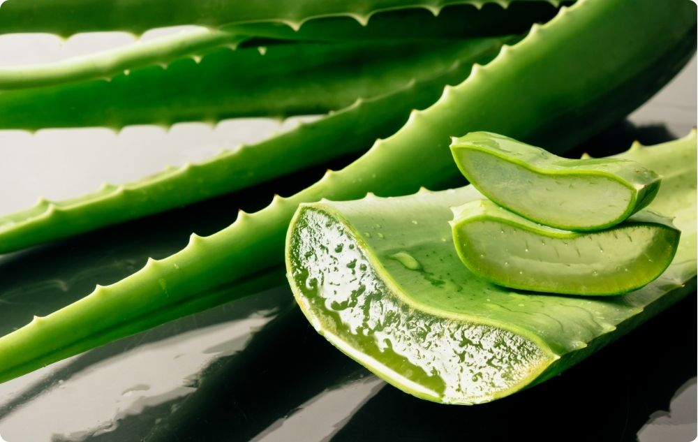 Gel aus Aloe Vera