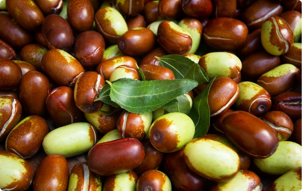 Wobei hilft Jojoba-Trägeröl?